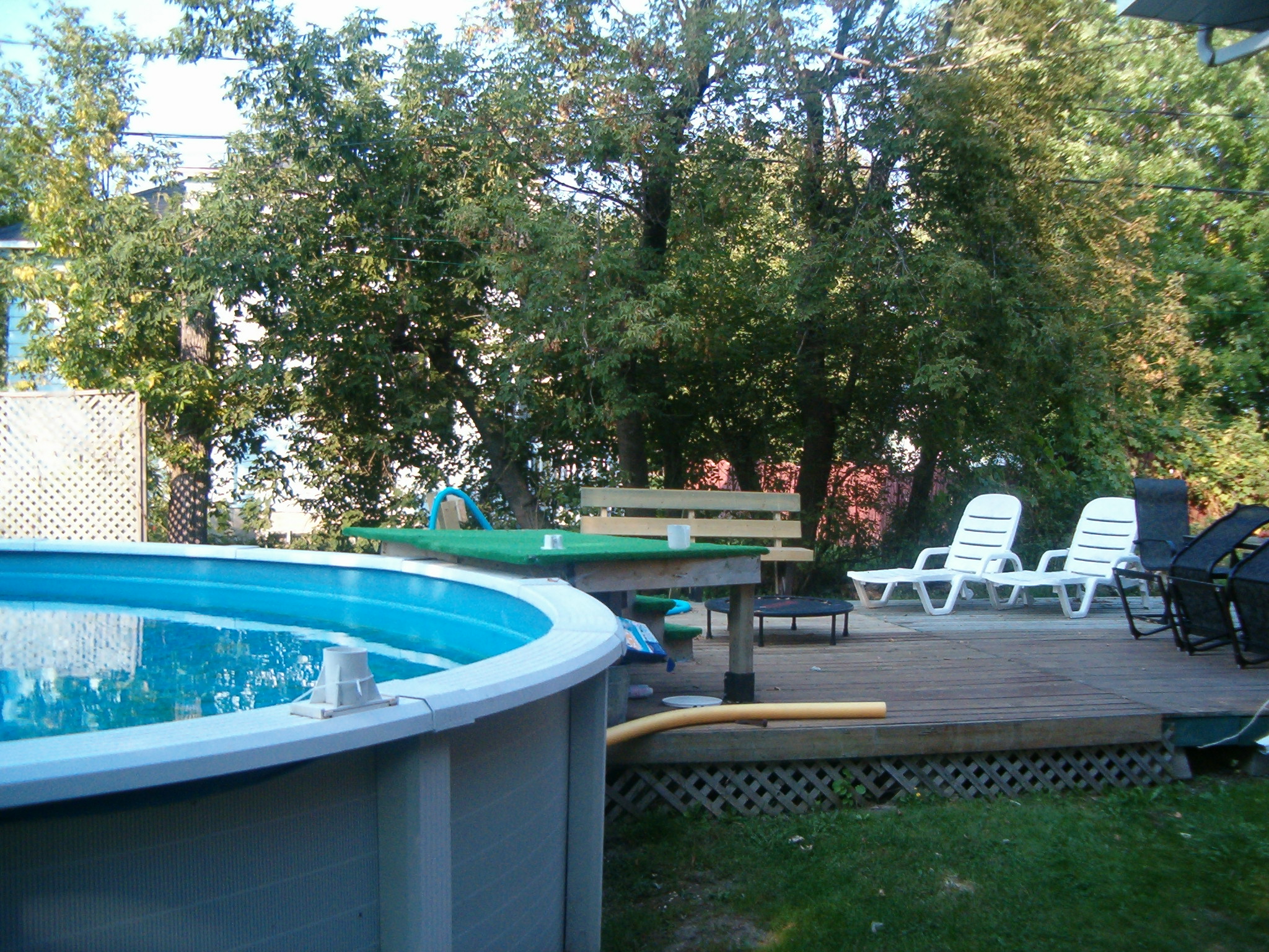 backyard.jpg